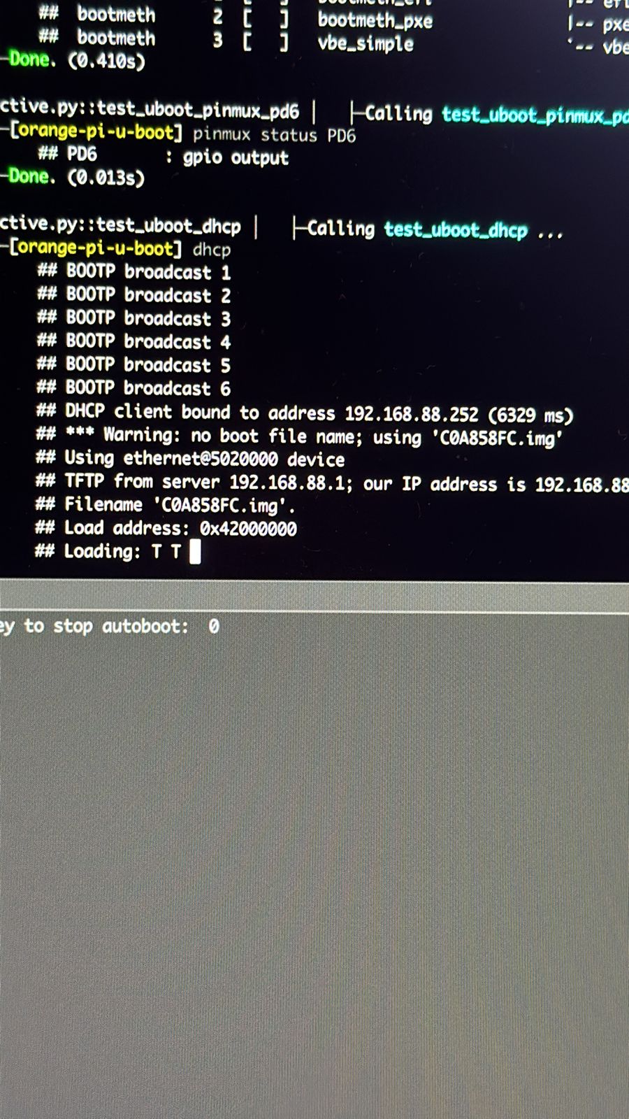 DHCP Works!